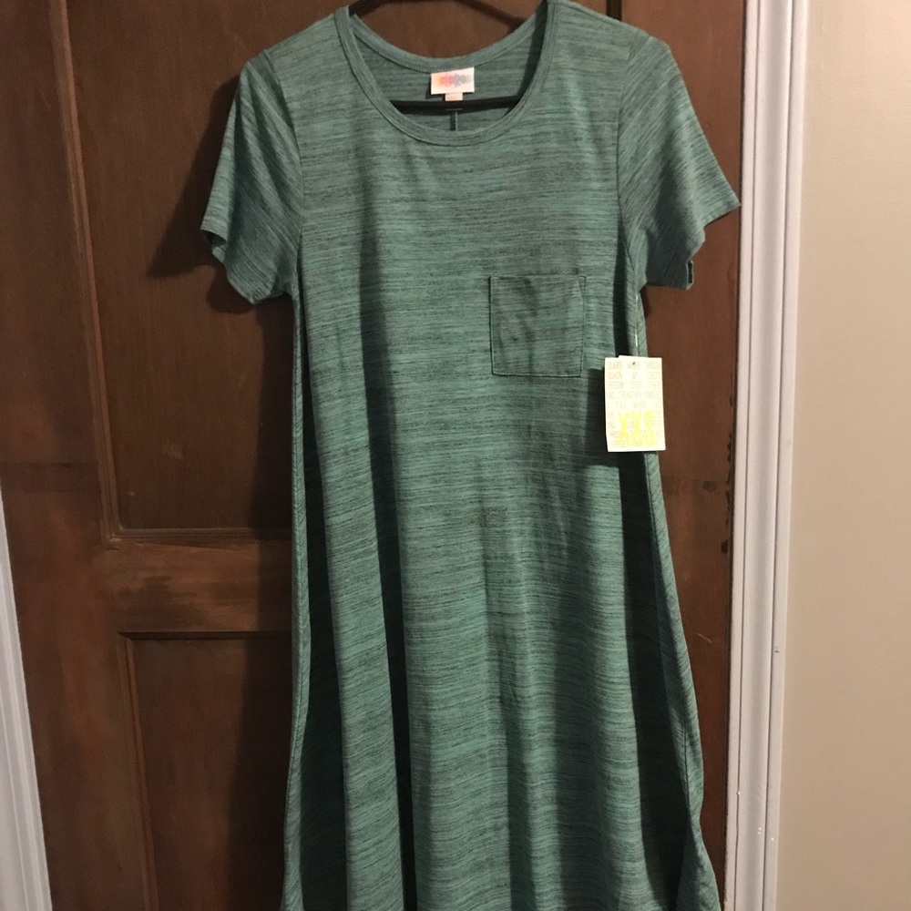 XXS LulaRoe Carly Dress NWT
